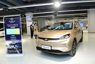 湖南首家新能源汽车全服务交易展示中心今日正式启动运营,选购 金融贷款 上牌保险 充电一站式解决